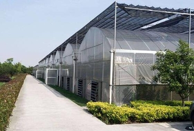 綠色保障，信譽(yù)見證 安慶市陽(yáng)光板連棟溫室大棚庫(kù)存充足之優(yōu)勢(shì)解析