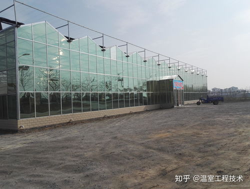 連棟溫室大棚排水系統(tǒng)設(shè)計(jì)原則與排水管布置指南