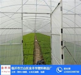 綠色溫室，匠心同行——探訪蘭山區(qū)金豐華塑料制品廠的溫室事業(yè)